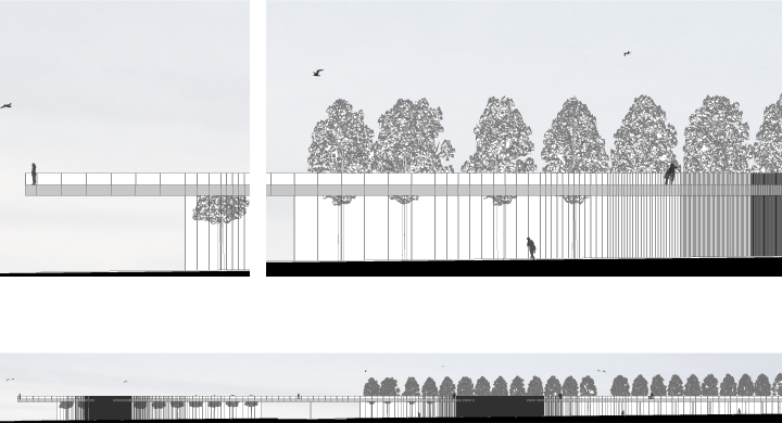 Ansicht lang vom Friedrichsplatz Gesamt und Ausschnitte